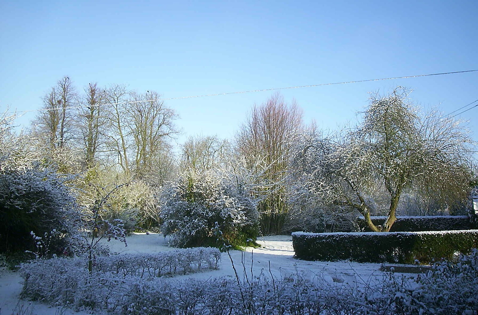 There's a bit of snow in the garden from The House in Snow and a Carburettor, Brome, Suffolk - 20th December 2002