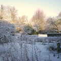 The front garden looks like a Christmas card, The House in Snow and a Carburettor, Brome, Suffolk - 20th December 2002