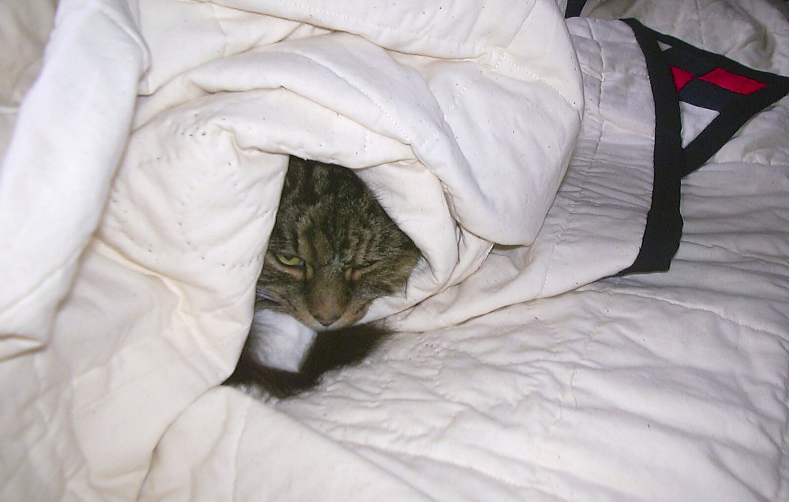 Sophie's under a duvet from Christmas Day at Nosher's, Brome, Suffolk - 25th December 2002