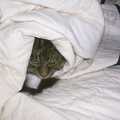 Sophie's under a duvet, Christmas Day at Nosher's, Brome, Suffolk - 25th December 2002