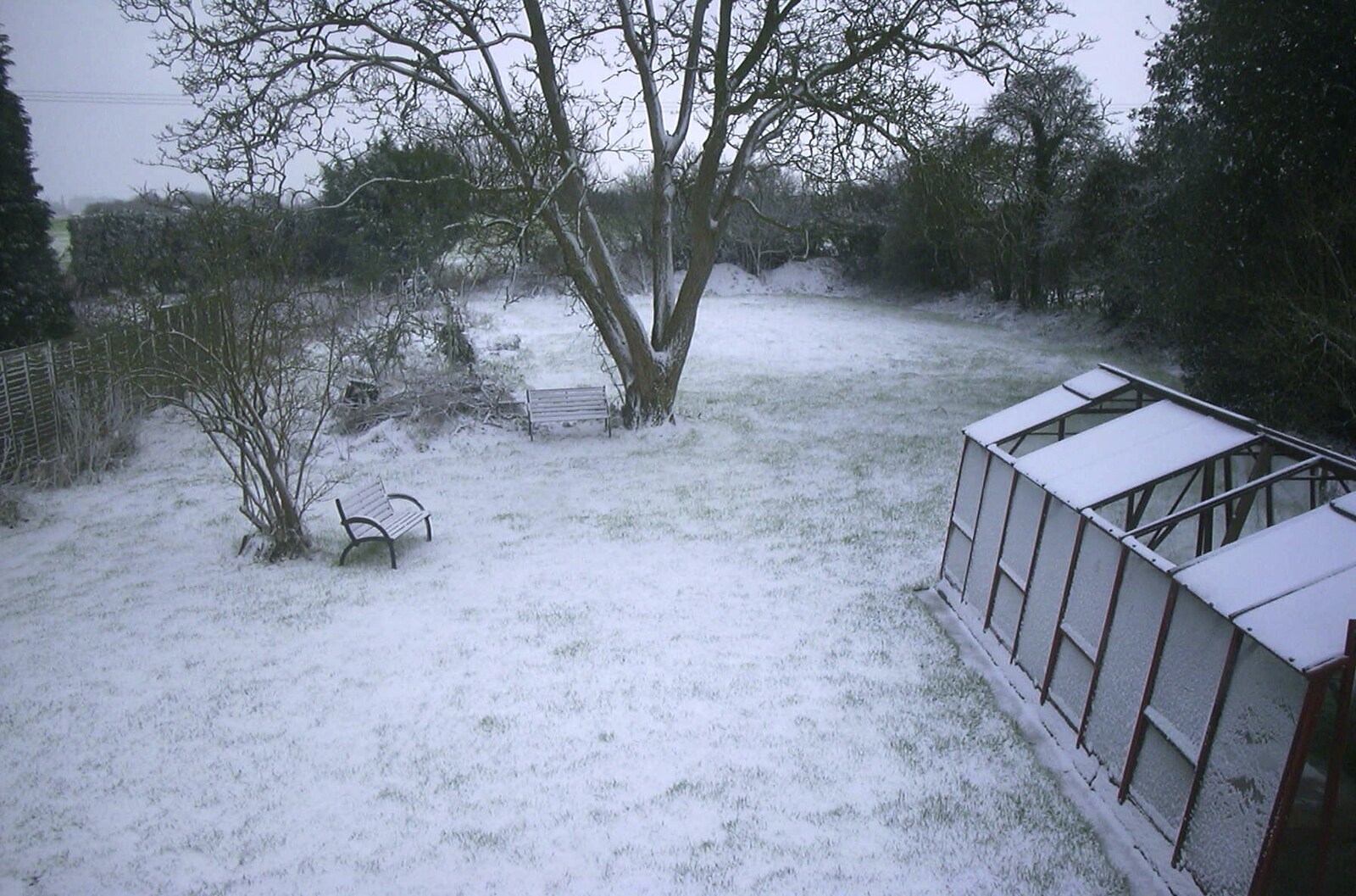 Snow in the back garden from Longview, Easyworld and Peterborough Cathedral, Cambridgeshire - 10th February 2003