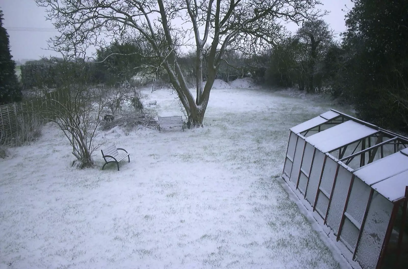 Snow in the back garden, from Longview, Easyworld and Peterborough Cathedral, Cambridgeshire - 10th February 2003