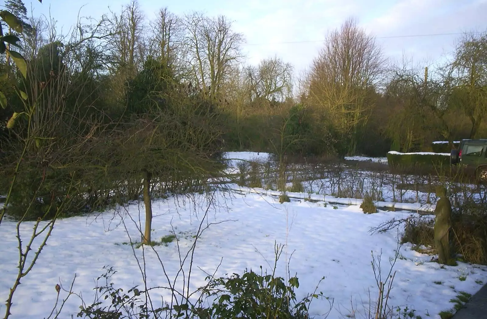 The front garden, from Longview, Easyworld and Peterborough Cathedral, Cambridgeshire - 10th February 2003