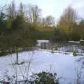 The front garden, Longview, Easyworld and Peterborough Cathedral, Cambridgeshire - 10th February 2003