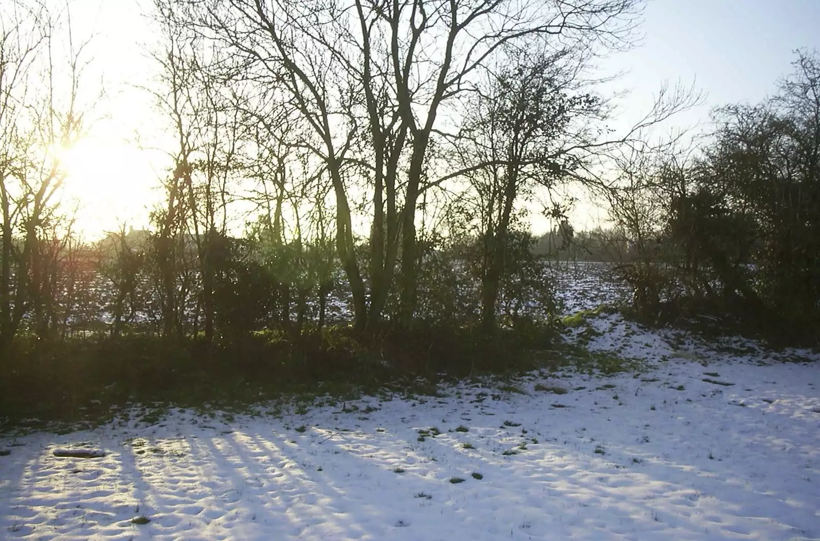 A low sun over the side field, from Longview, Easyworld and Peterborough Cathedral, Cambridgeshire - 10th February 2003