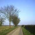 Bleak trees in the flat-lands, Carolyn on Sunday, Wymondham, Norfolk - 23rd March 2003