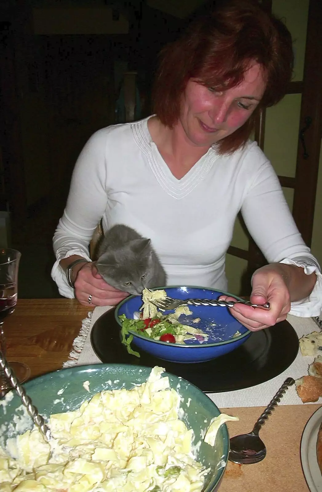 Slinky gets some salad, from Dove House, and Dinner Round Anne's, Thornham and Eye, Suffolk - 11th April 2003