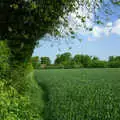 A verdant scene, The BSCC Bike Ride Weekend, Kelling, Norfolk - 9th May 2003