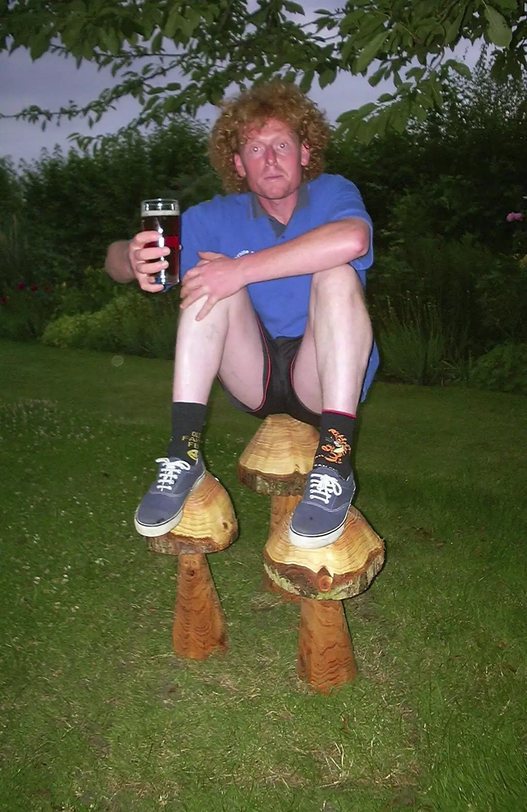 Wavy perches on three wooden mushrooms, from Ipswich Music Day and the BSCC in Cotton, Suffolk - 6th July 2003