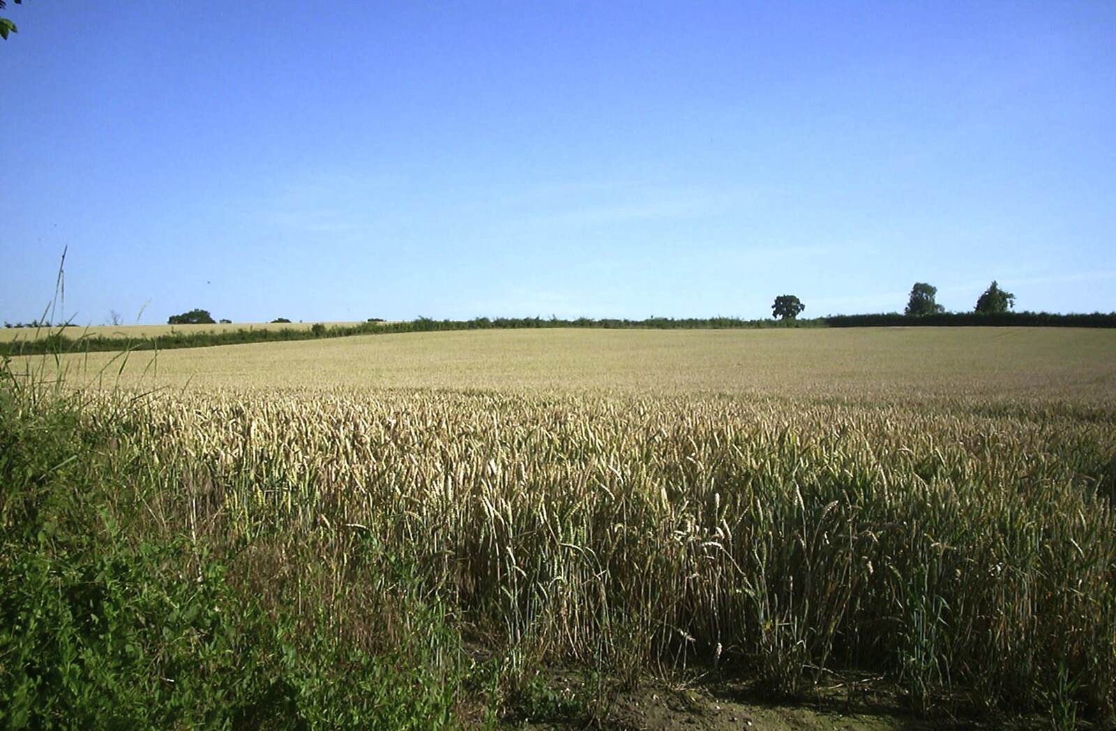 Rolling Suffolk wheat fields from The BSCC Annual Bike Ride, Orford, Suffolk - 12th July 2003