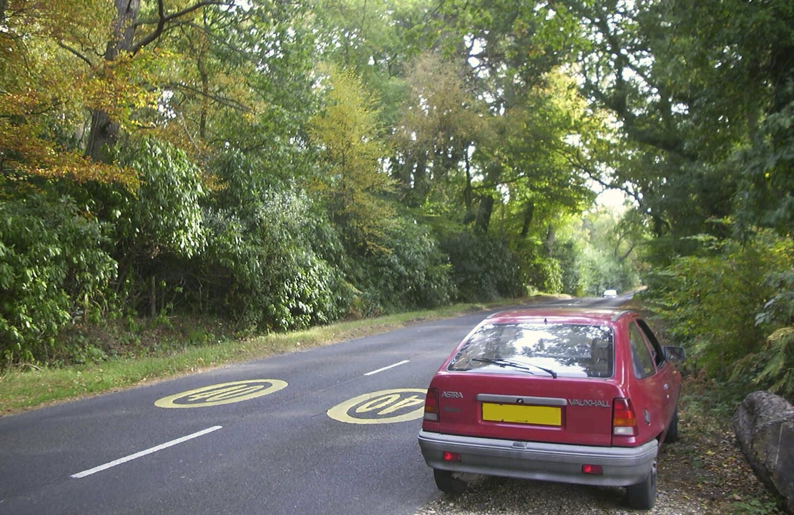 A New Forest Weekender, Hordle, Hampshire - 19th October 2003: Nosher stops for a wee on the Bransgore road