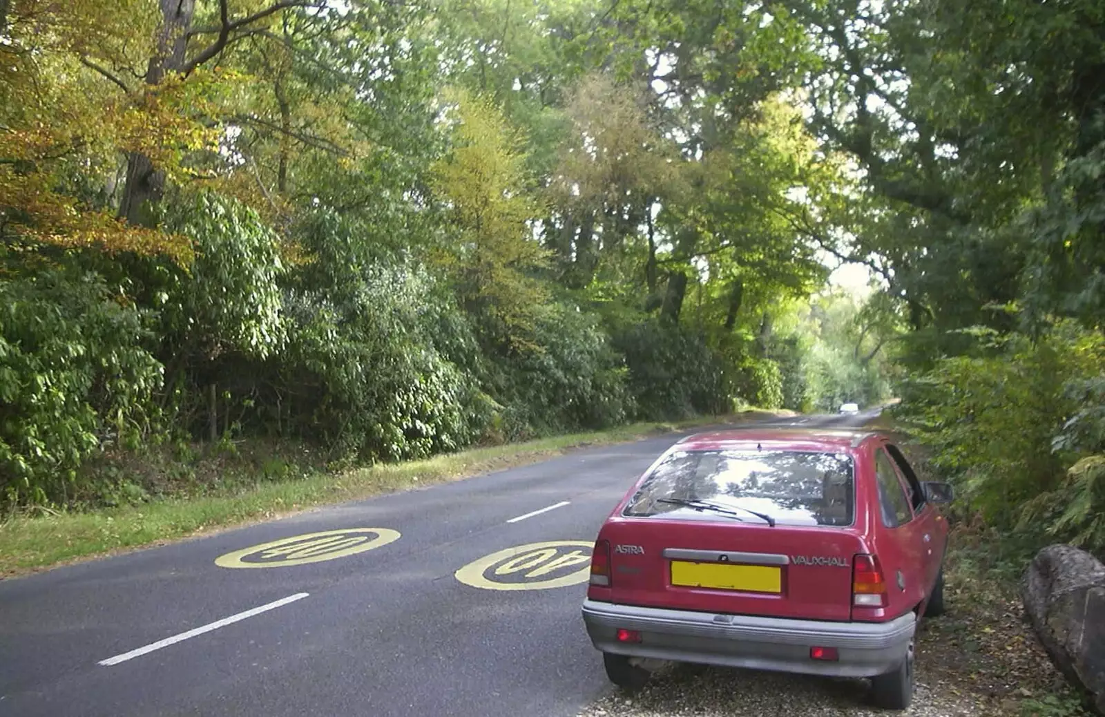 Nosher stops for a wee on the Bransgore road, from A New Forest Weekender, Hordle, Hampshire - 19th October 2003