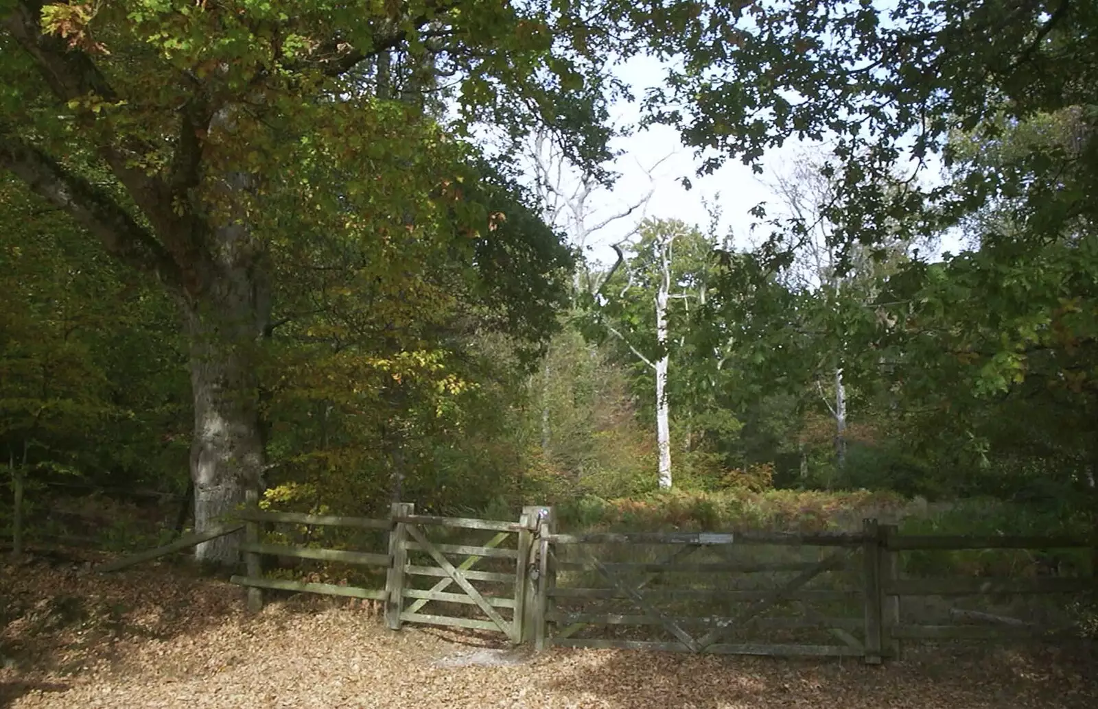 A New Forest gate near Brockenhurst, from A New Forest Weekender, Hordle, Hampshire - 19th October 2003