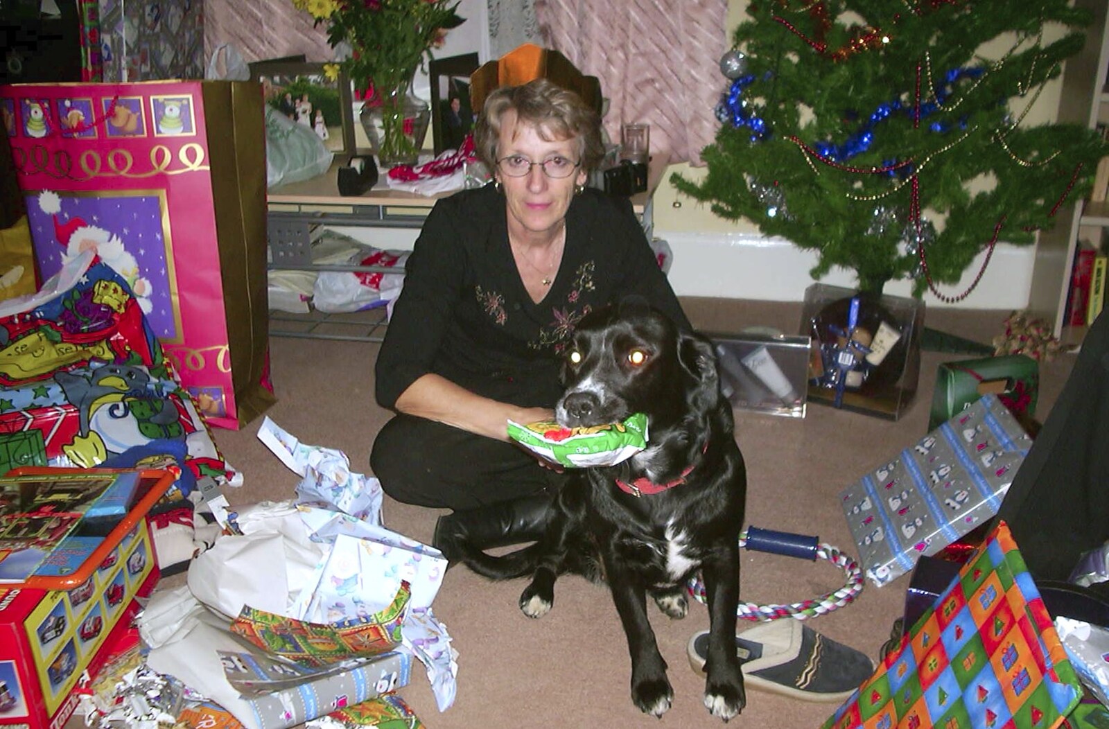 Even the dog has got something from Christmas at The Cottage, Thorpe St. Andrew, Norwich - 25th December 2003
