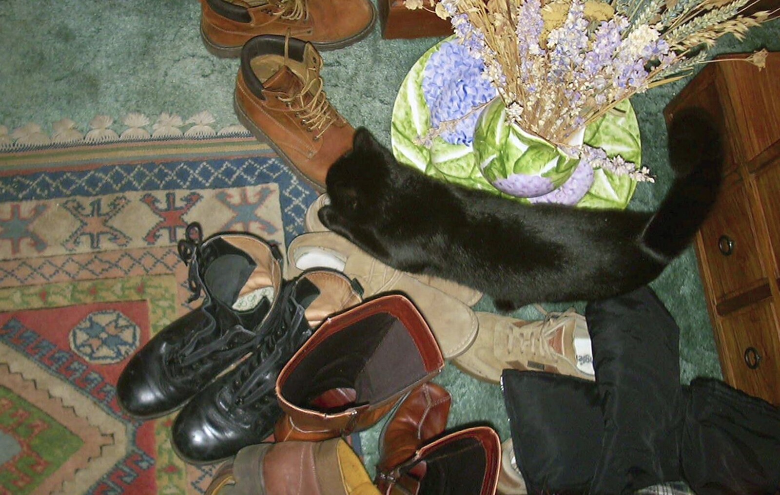 Mini, the other cat, is in the shoes from Sarah's Games Night at Anne's, Thornham, Suffolk - 27th December 2003