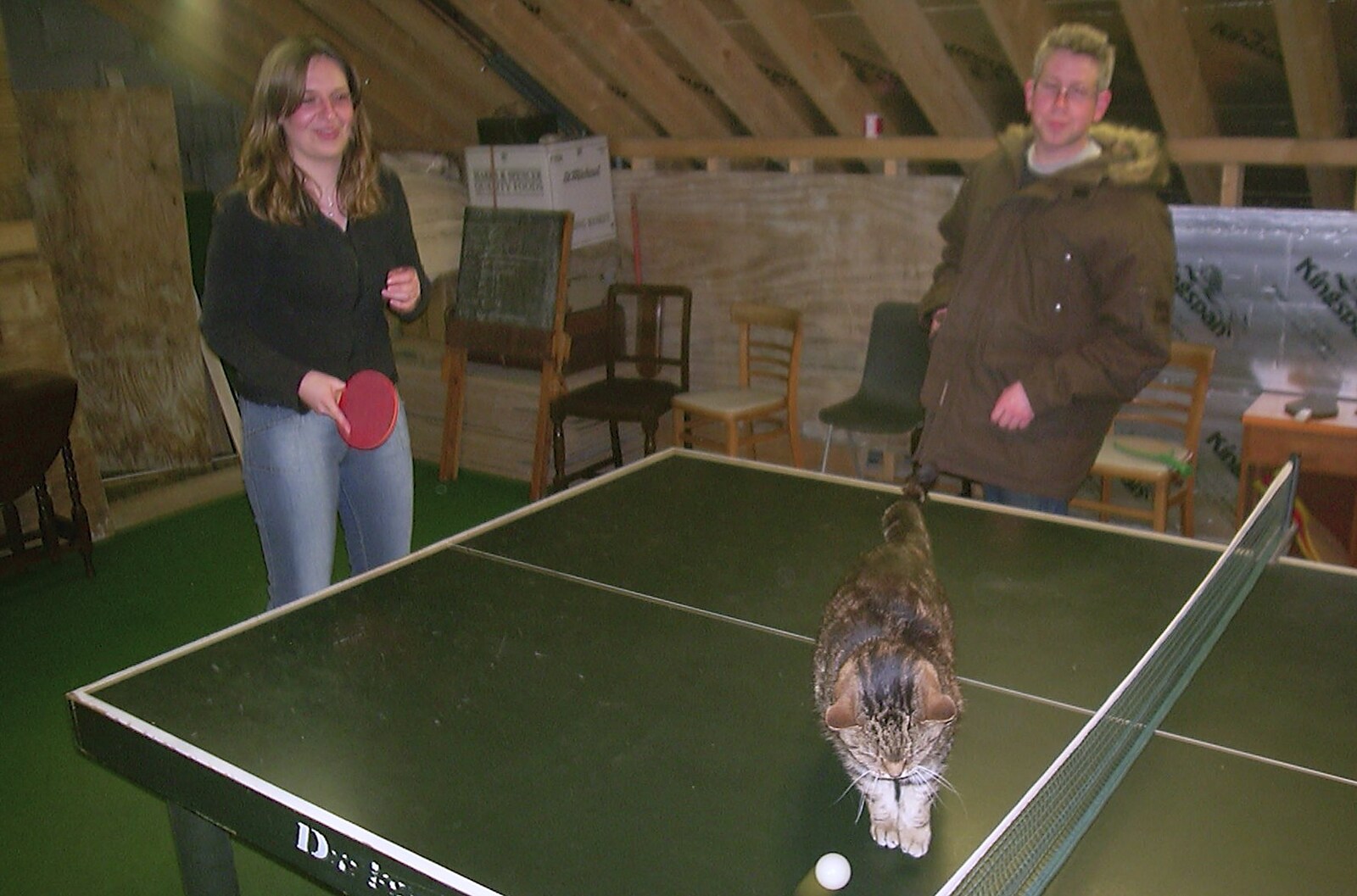 Sophie is ball-cat from Jess and Jen's Party, Pulham St. Mary, Norfolk - 28th February 2004