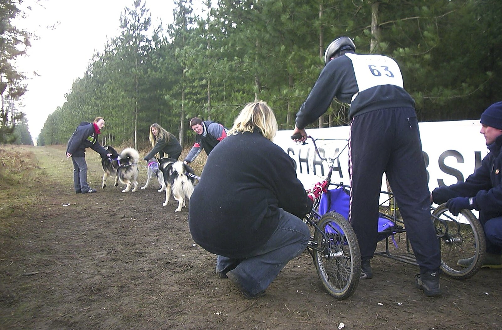 Another 'sled' gets ready from A day at the Husky Races, Lakenheath, Suffolk - 29th February 2004