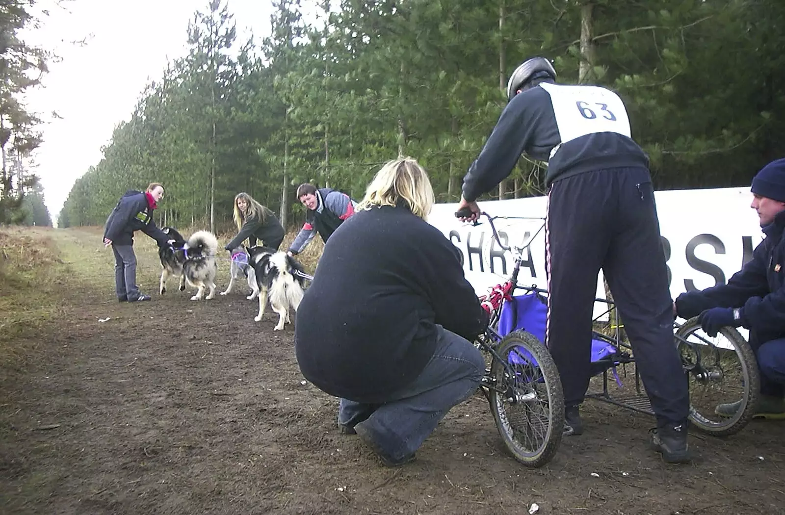 Another 'sled' gets ready, from A day at the Husky Races, Lakenheath, Suffolk - 29th February 2004