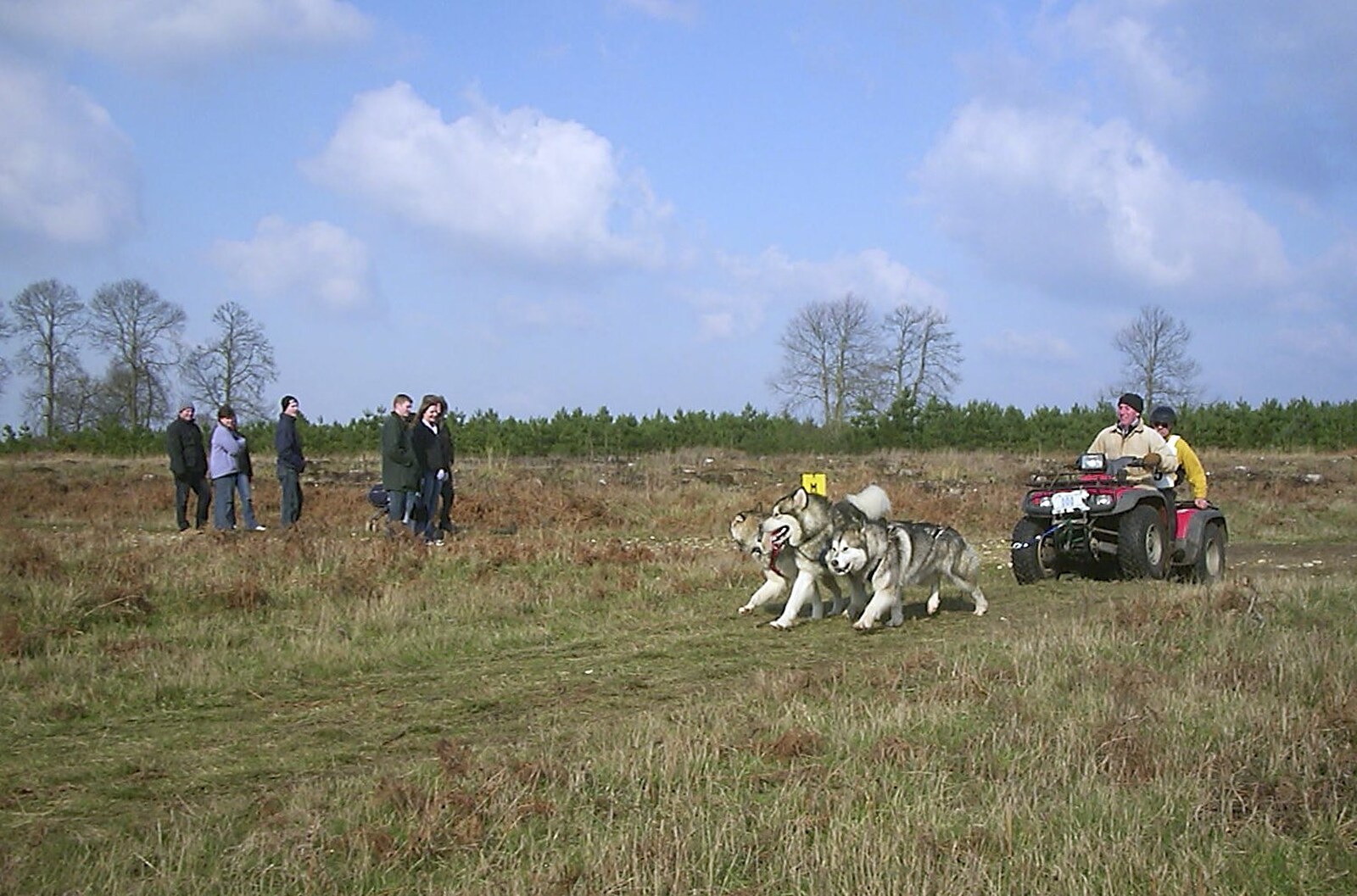 This seems a little unfair on the dogs from A day at the Husky Races, Lakenheath, Suffolk - 29th February 2004