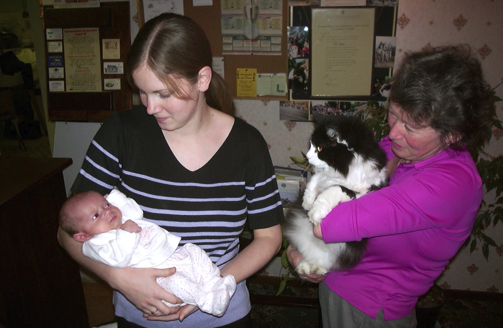 Sylvia shows the baby to the cat from Fire Training and Lorraine's New Sprog, Cambridge and Brome - 10th March 2004