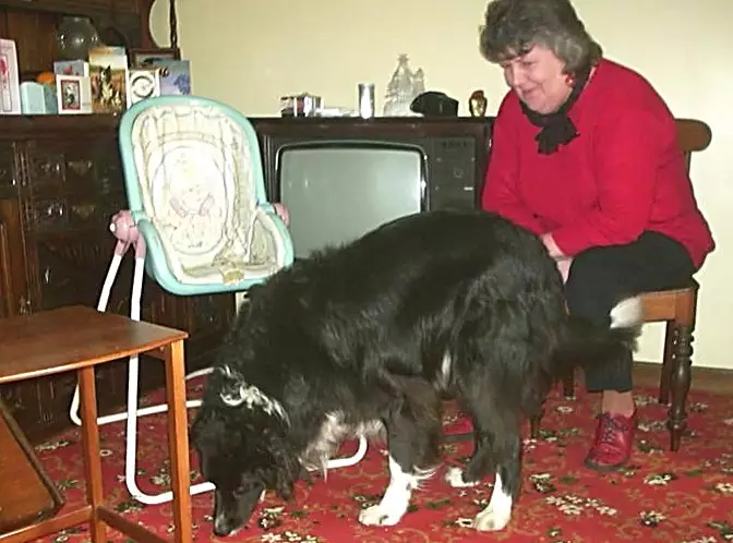 Scooby, the 'black-and-white hoover', from Jess's Post-Birthday Barbeque and a Walk Around Pulham - 4th April 2004