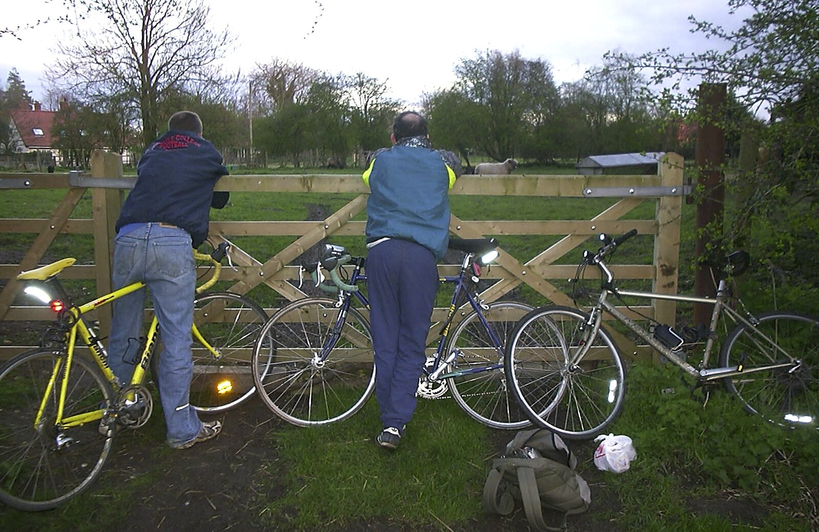 The BSCC Easter Bike Ride, Thelnetham and Redgrave, Suffolk - 10th April 2004: We look at sheep for an hour