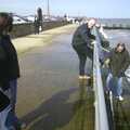Gov and DH head down the seaweed-covered steps, A Trip to Sunny Southwold, Suffolk - 12th April