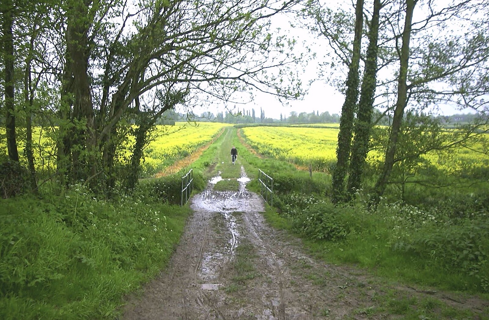The BSCC Annual Bike Ride, Lenham, Kent - 8th May 2004: DH goes a bit off road