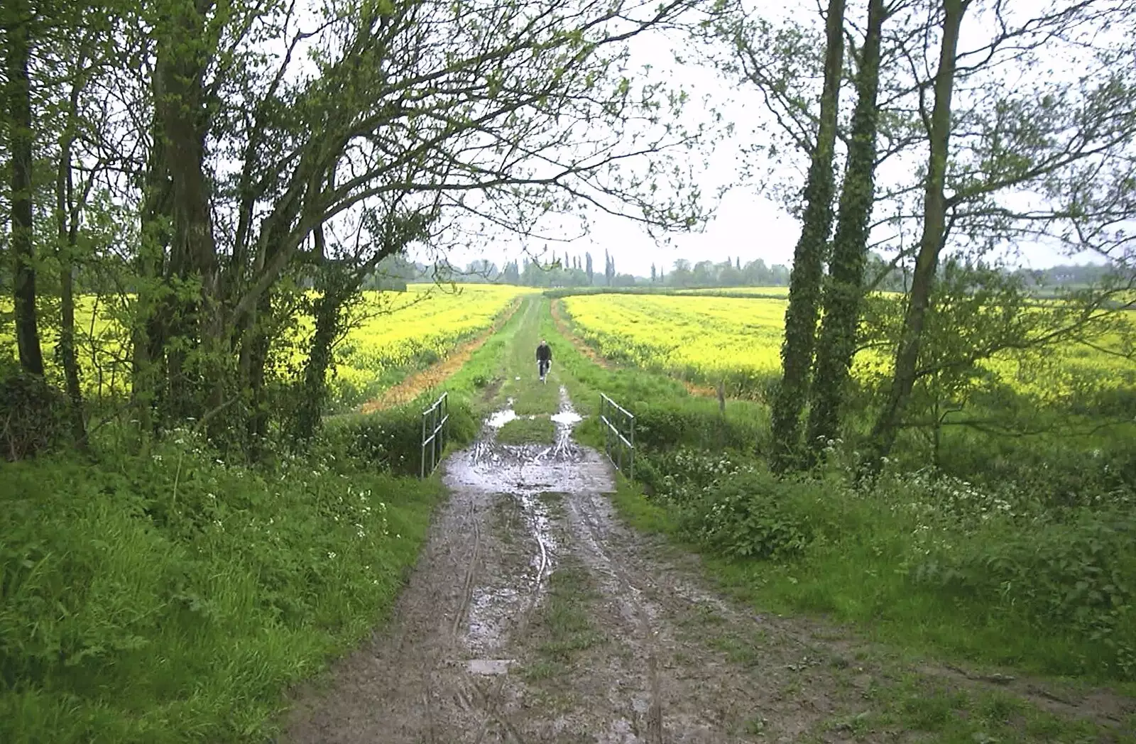 DH goes a bit off road, from The BSCC Annual Bike Ride, Lenham, Kent - 8th May 2004