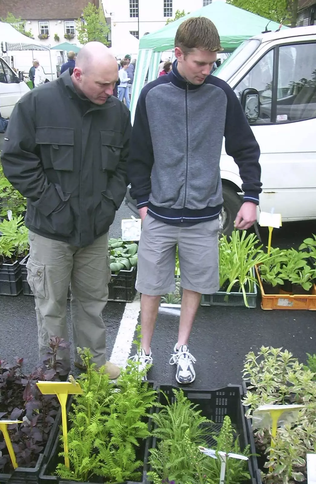 Gov and Phil look at more plants, from A Trip Around Leeds Castle, Maidstone, Kent - 9th May 2004