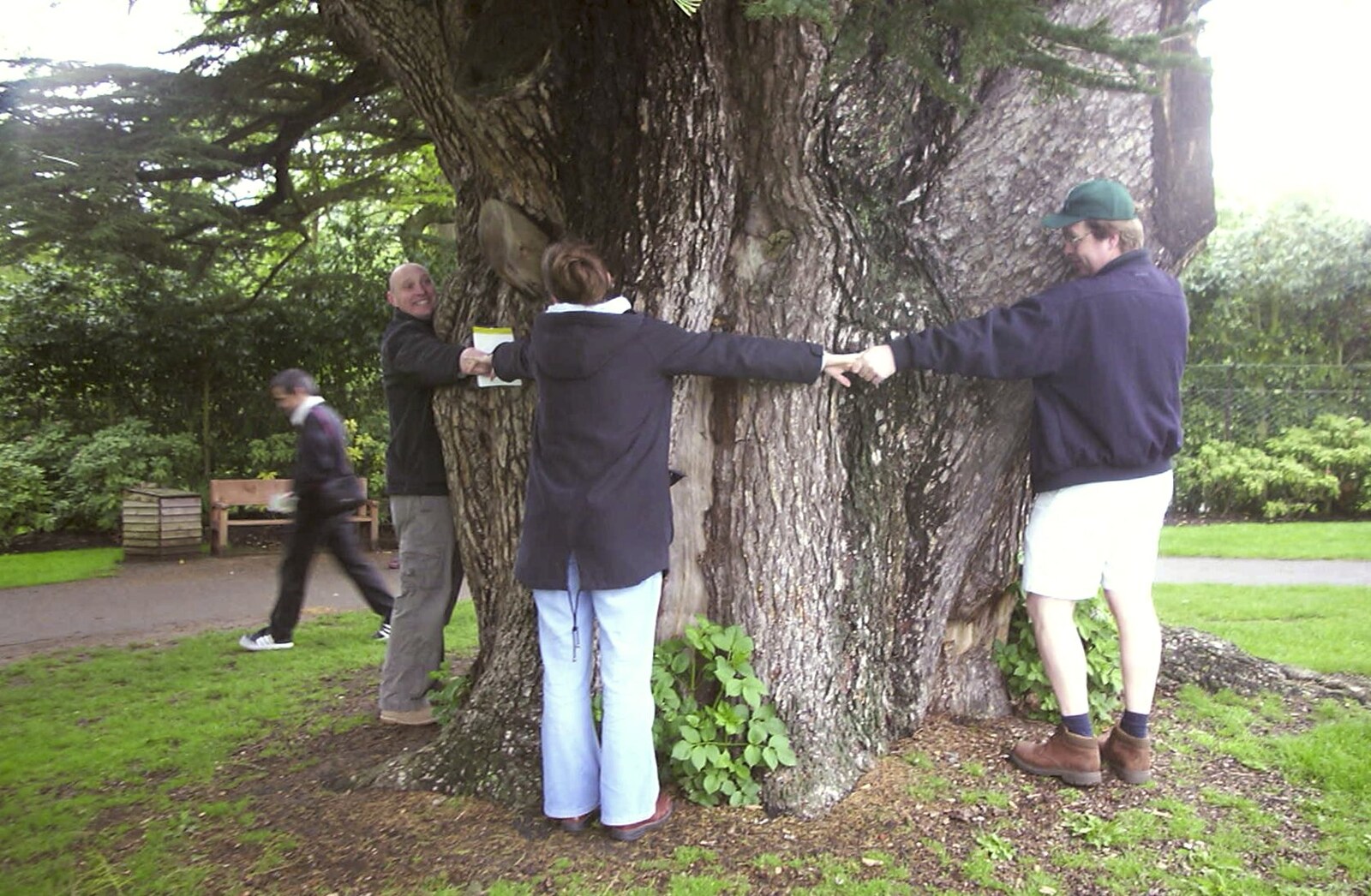 Sue joins in with the tree hugging from A Trip Around Leeds Castle, Maidstone, Kent - 9th May 2004