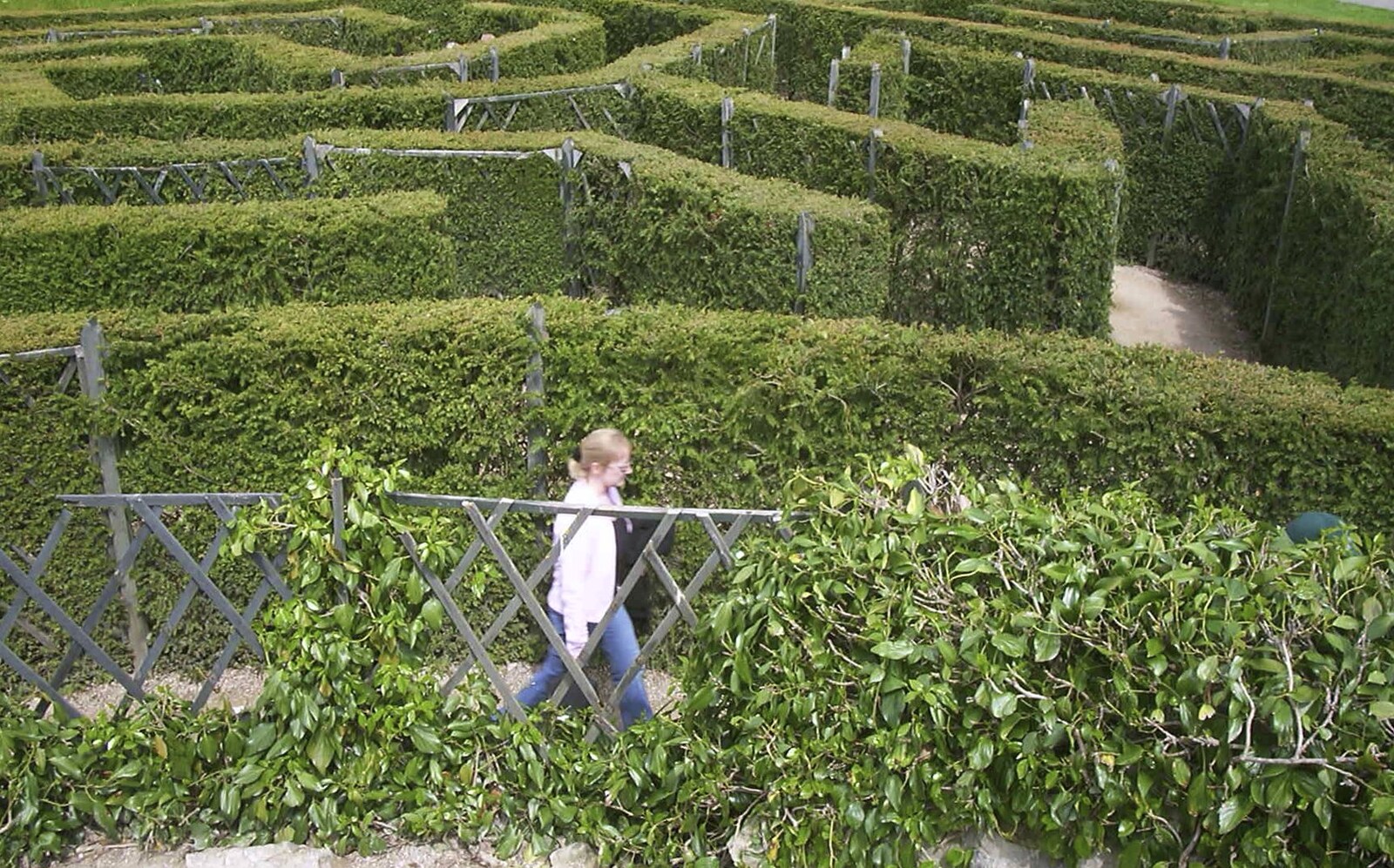 Carolyn strides around in the maze from A Trip Around Leeds Castle, Maidstone, Kent - 9th May 2004