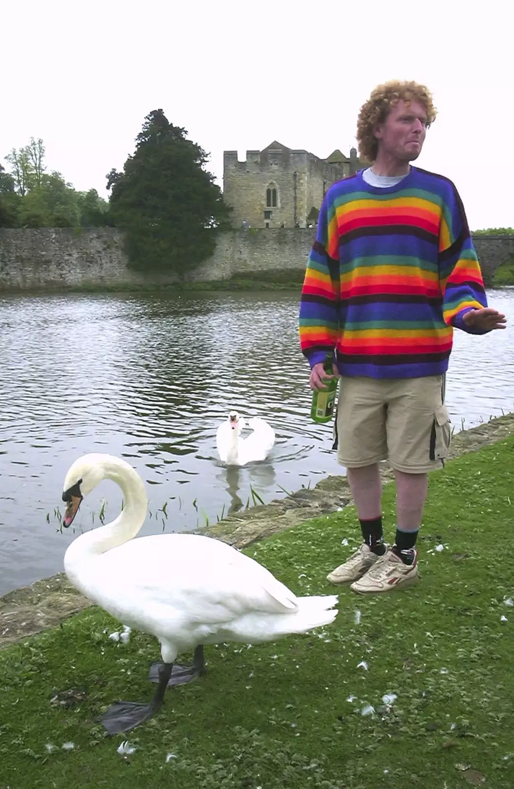 Wavy reckons he's got this Swan Thing sorted, from A Trip Around Leeds Castle, Maidstone, Kent - 9th May 2004