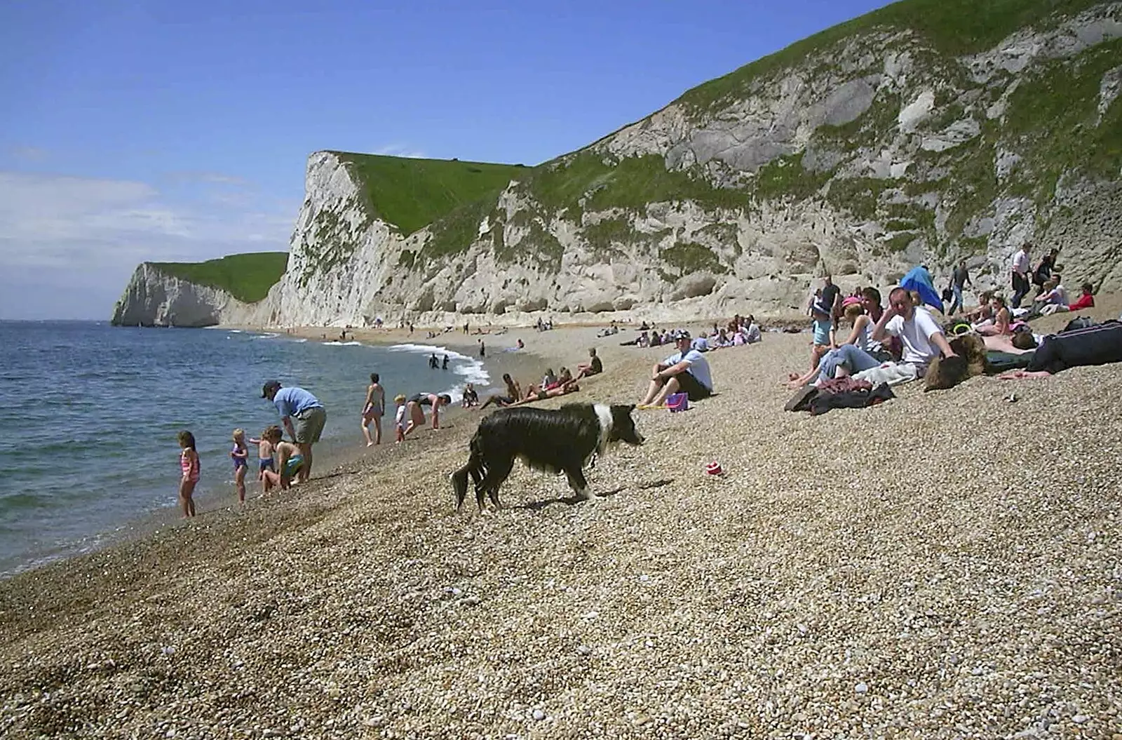 A dog on the beach near Durdle Door, from Corfe Castle Camping, Corfe, Dorset - 30th May 2004