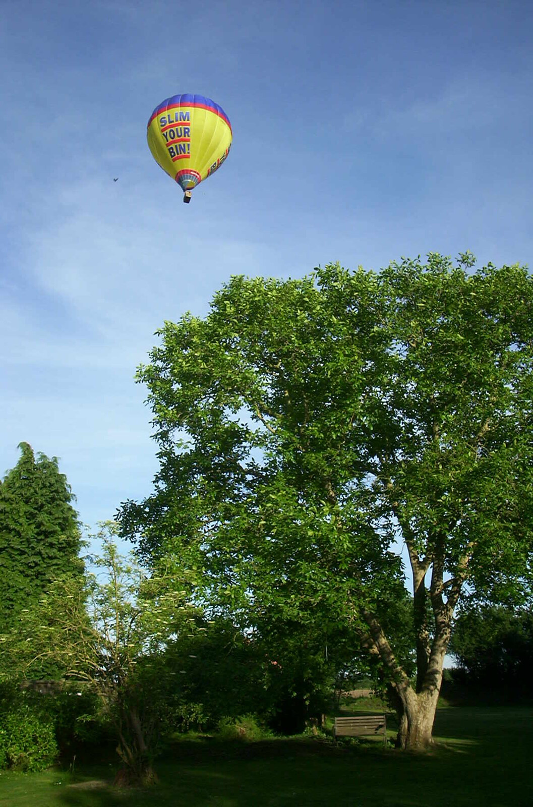 A balloon floats over the back garden from Andrey Leaves Trigenix, More Skelton Festival and a Transit of Venus, Cambridge and Diss - 4th June 2004