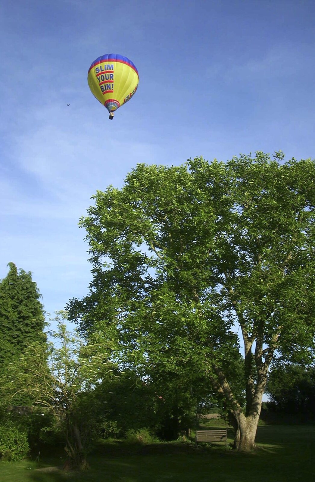 A balloon floats over the back garden from A Transit of Venus and a Front Garden Barbeque, Brome - 11th June 2004