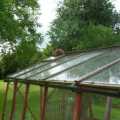 Previously, Cat A had been discovered developing an interest in sleeping on the top of the big greenhouse...