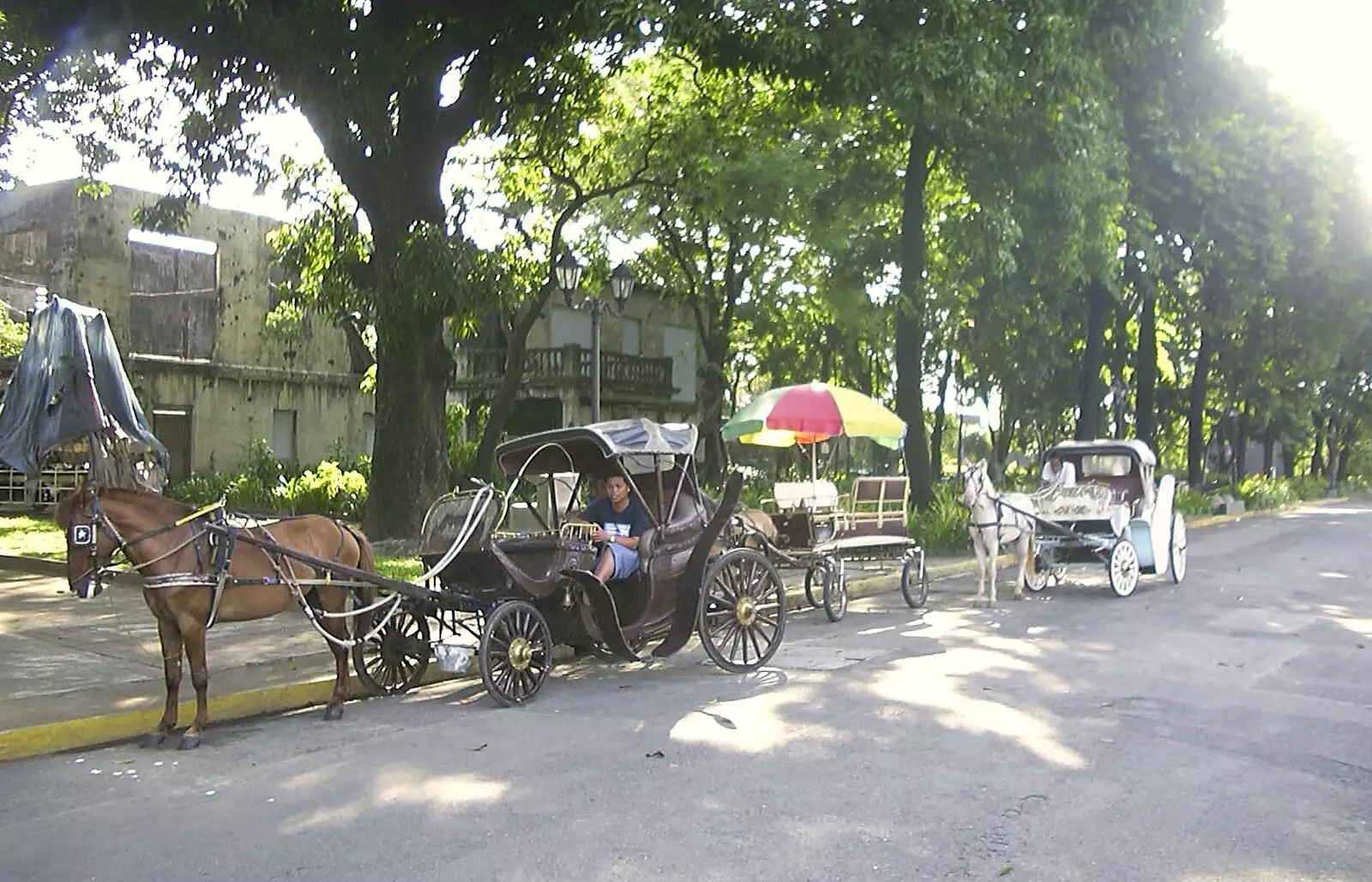 More pony rides, from A Postcard From Manila: a Working Trip, Philippines - 9th July 2004