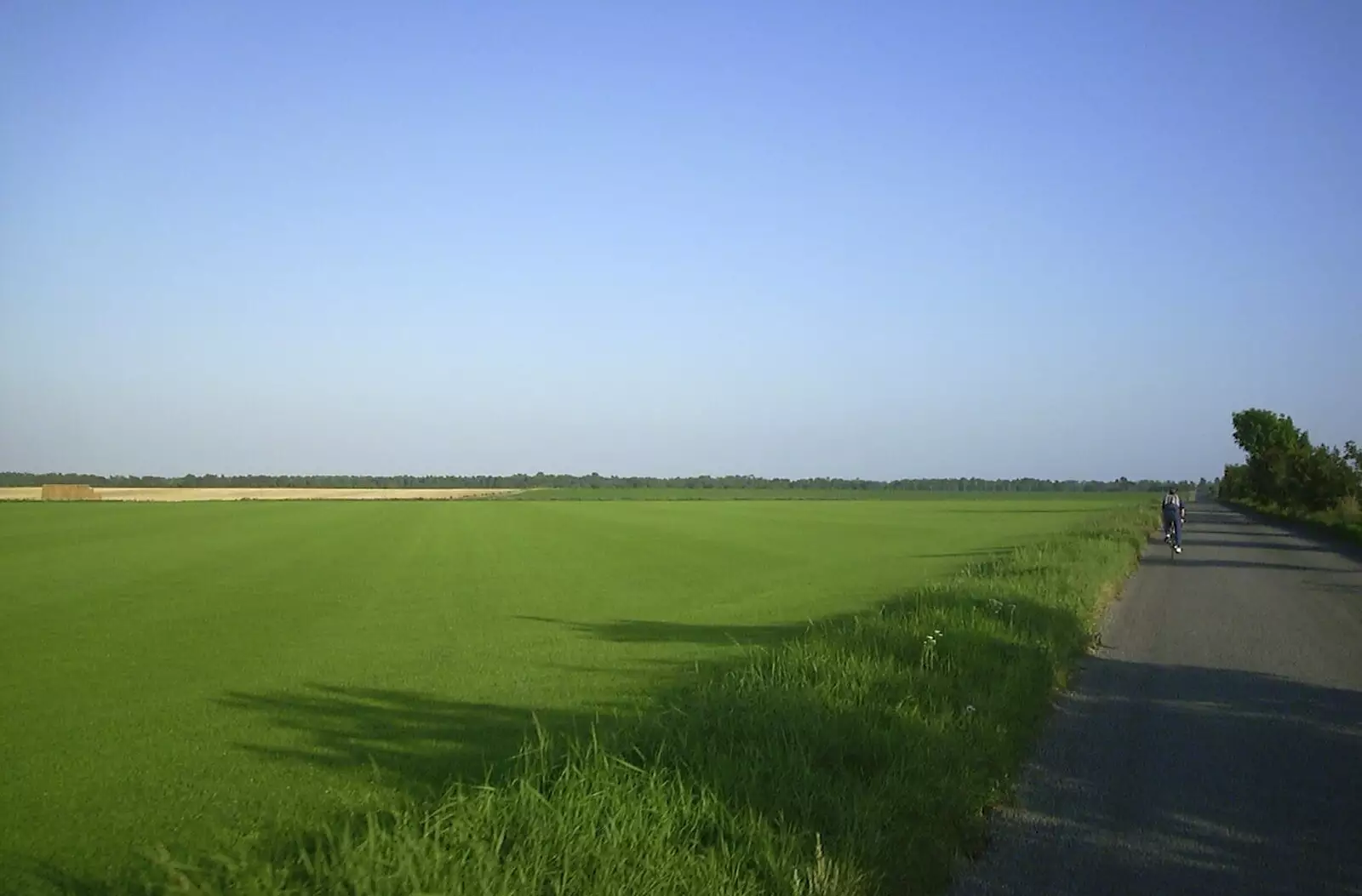 We cycle past a huge field of lush green turf, from A BSCC Splinter Group Camping Trip, Shottisham, Suffolk - 13th August 2004