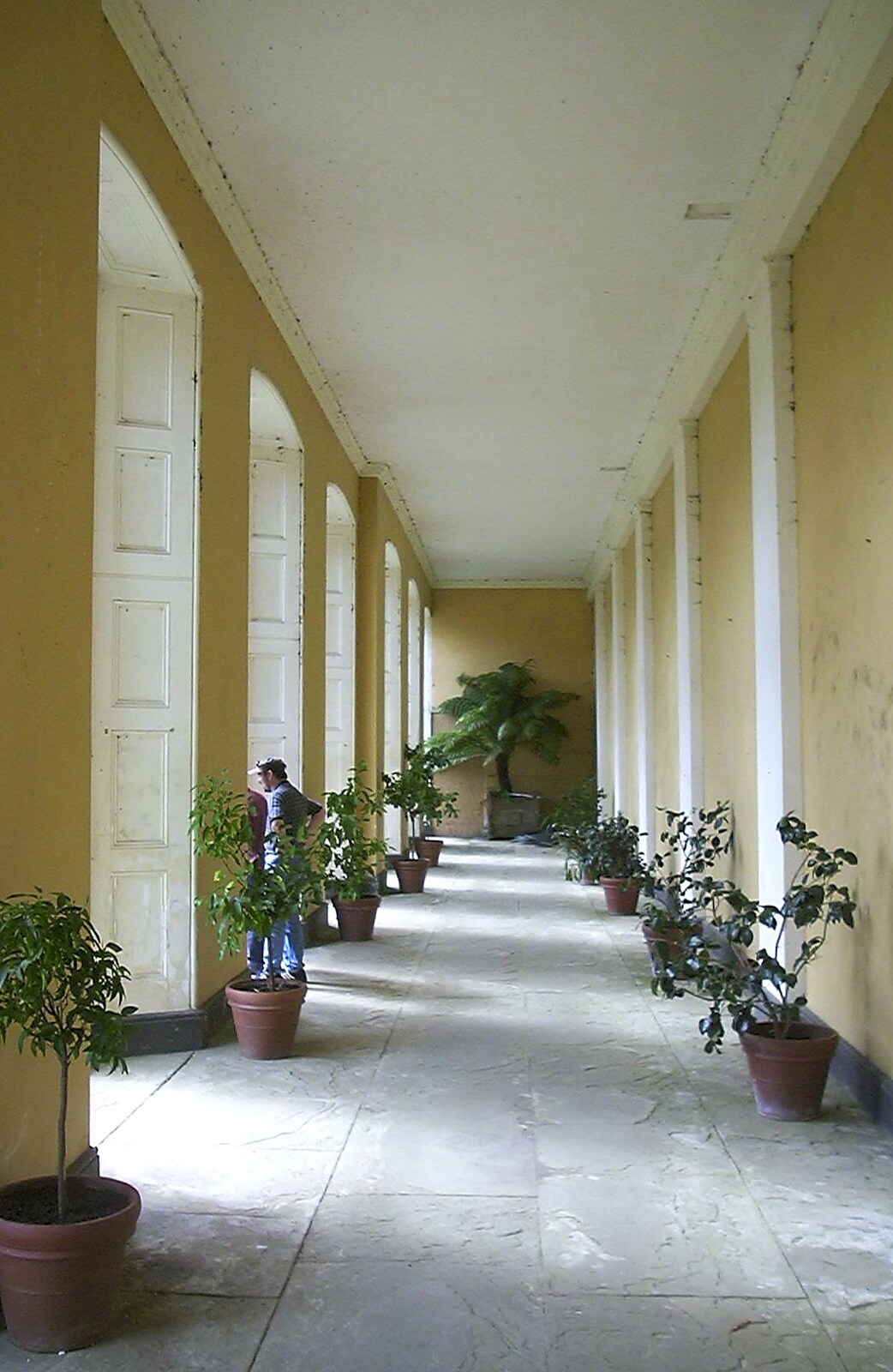 Inside the orangery from A Trip to Ickworth House, Horringer, Suffolk - 22nd August 2004