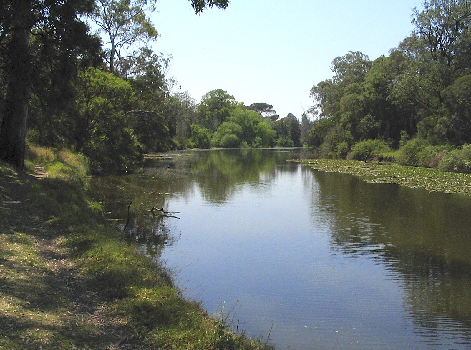 A lake in Parramatta park from Sydney, New South Wales, Australia - 10th October 2004