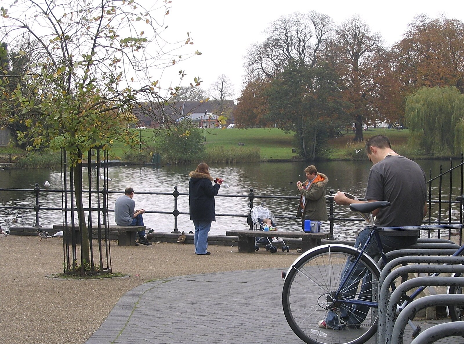 Some dude reads a newspaper by the Mere from Feeding the Ducks: a Diss and Norwich Miscellany - 7th November 2004