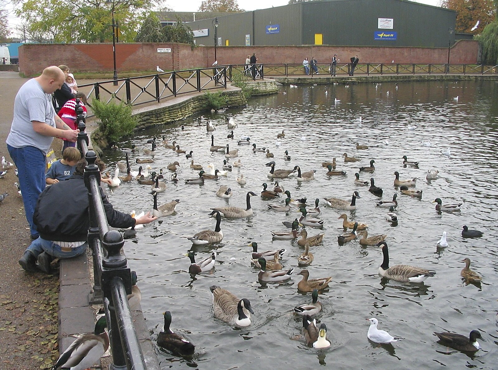 There's a mass of geese and ducks by Mere's Mouth from Feeding the Ducks: a Diss and Norwich Miscellany - 7th November 2004