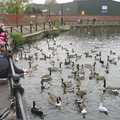 There's a mass of geese and ducks by Mere's Mouth, Feeding the Ducks, a Diss and Norwich Miscellany - 7th November 2004