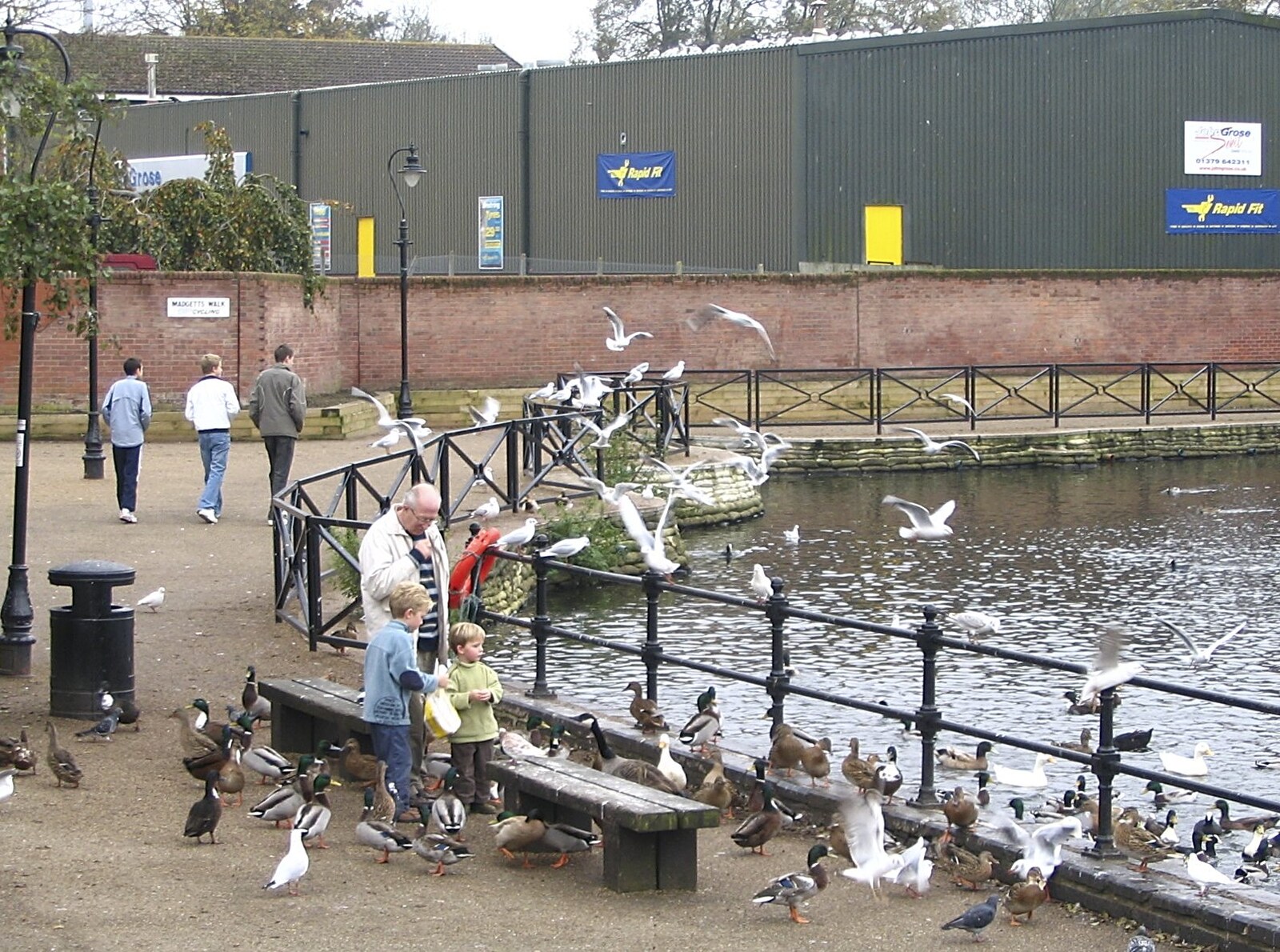 Seagulls fly about from Feeding the Ducks: a Diss and Norwich Miscellany - 7th November 2004