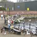 Seagulls fly about, Feeding the Ducks, a Diss and Norwich Miscellany - 7th November 2004