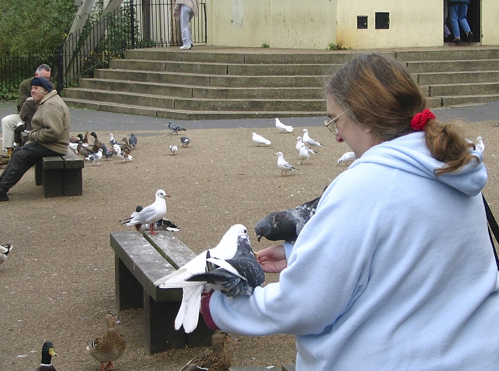 Feeding the pigeons from Feeding the Ducks: a Diss and Norwich Miscellany - 7th November 2004