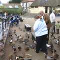 Pigeons, ducks and geese are all in on it, Feeding the Ducks, a Diss and Norwich Miscellany - 7th November 2004