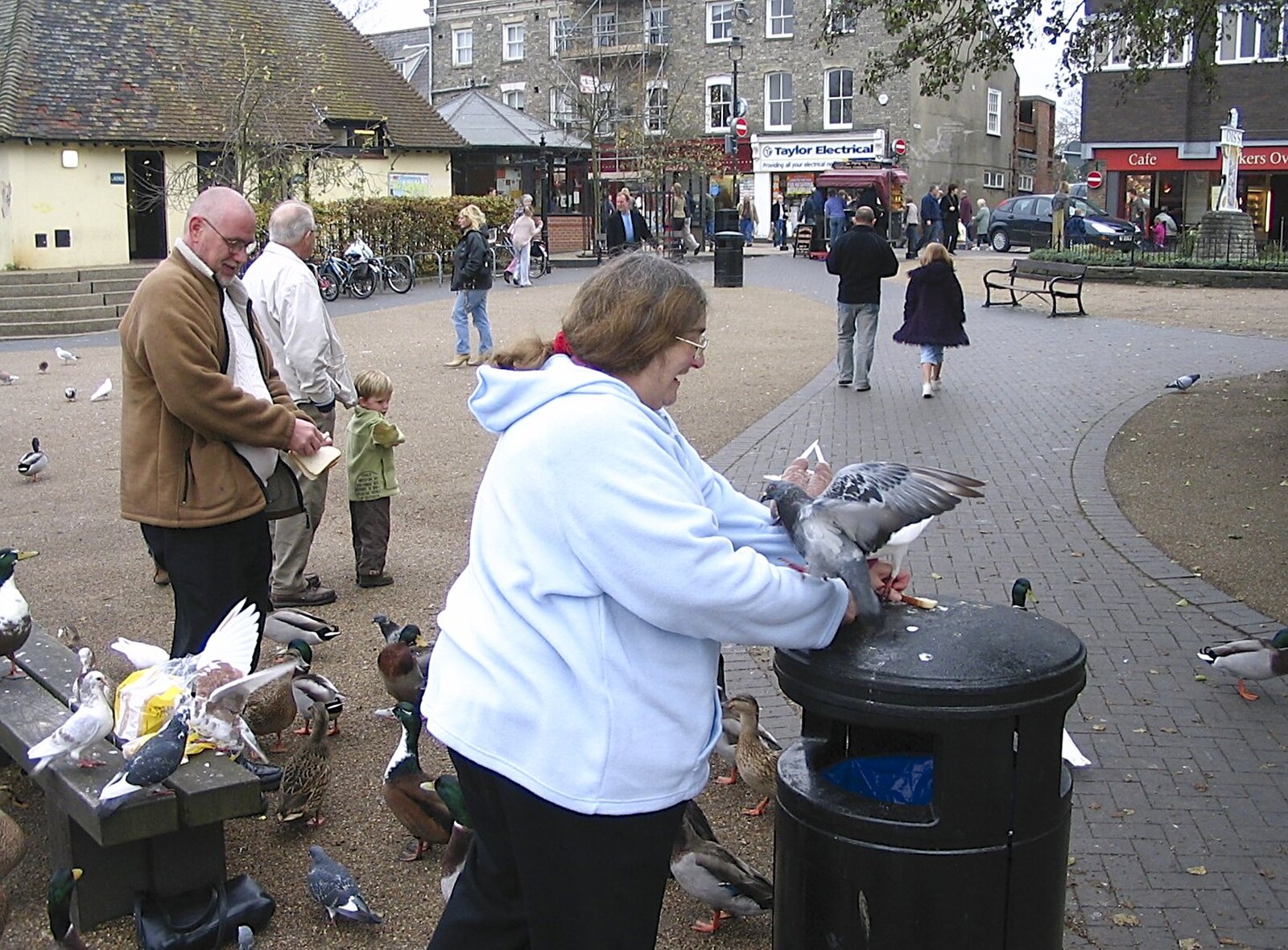 Putting the pigeons on the bin from Feeding the Ducks: a Diss and Norwich Miscellany - 7th November 2004