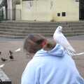 A dove on the head, Feeding the Ducks, a Diss and Norwich Miscellany - 7th November 2004